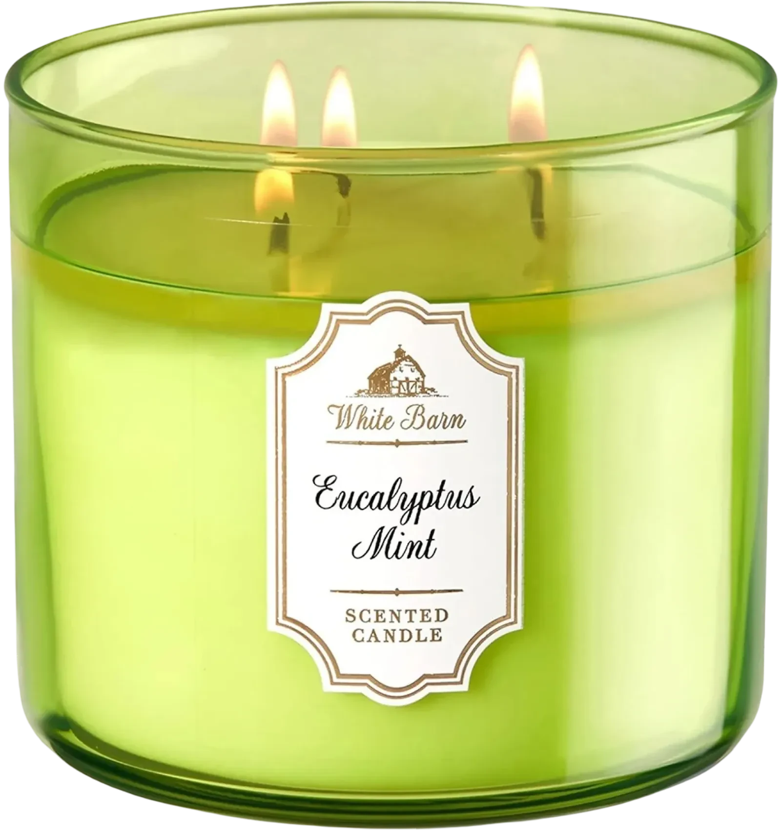 Eucalyptus mint scented candle with fresh invigorating aroma