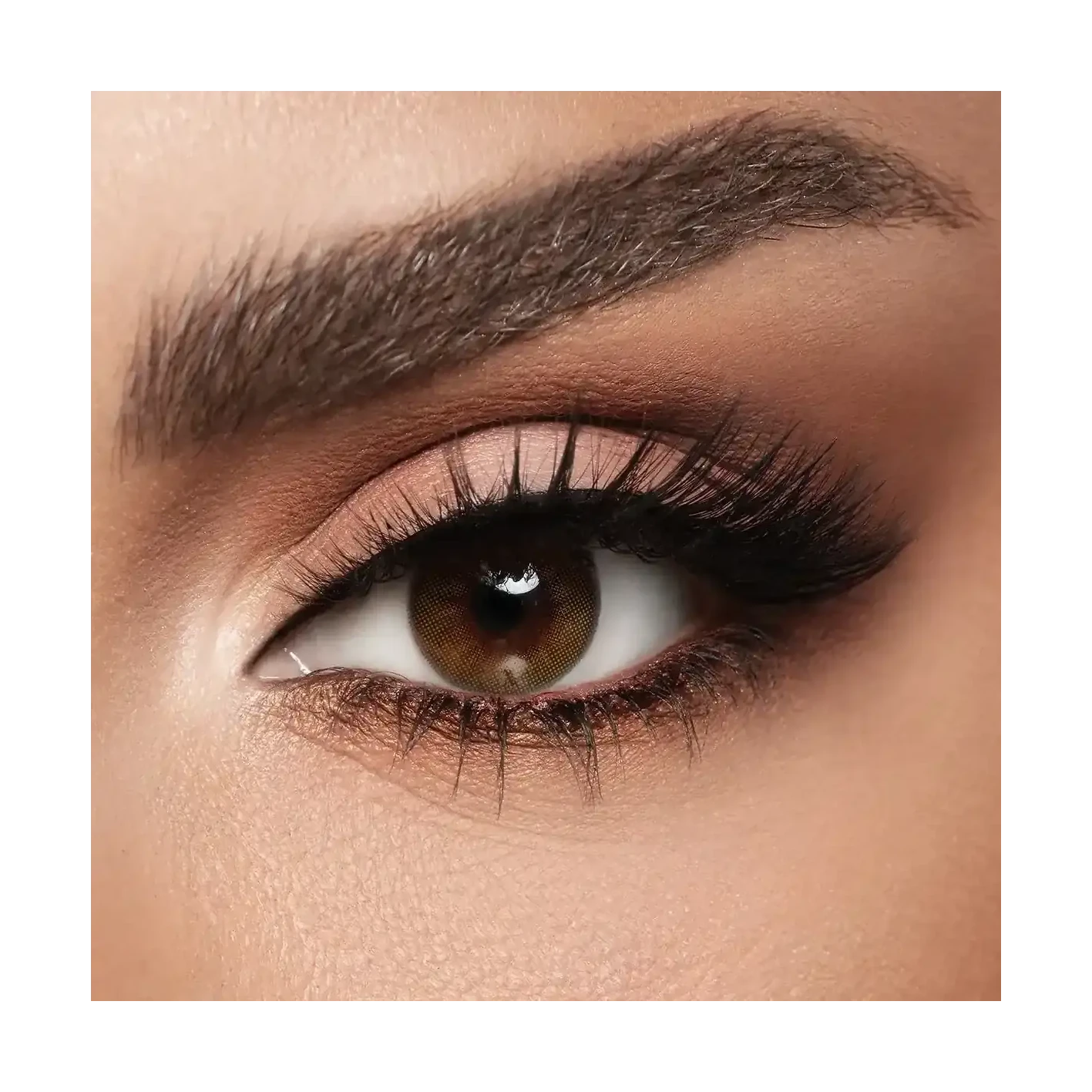 Diva Monthly Contact Lenses in the soft gray Lamir shade