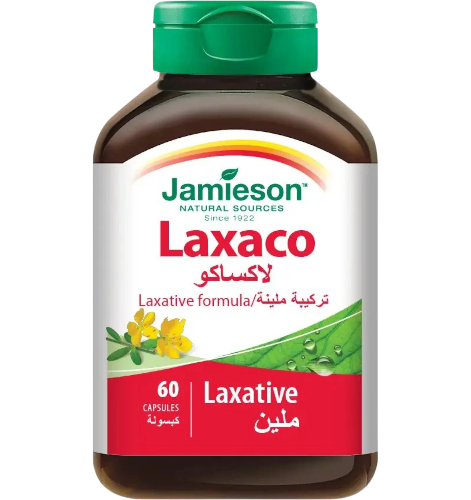 جاميسون لاكساكو كبسولات ملينة لعلاج الامساك 60 كبسولة