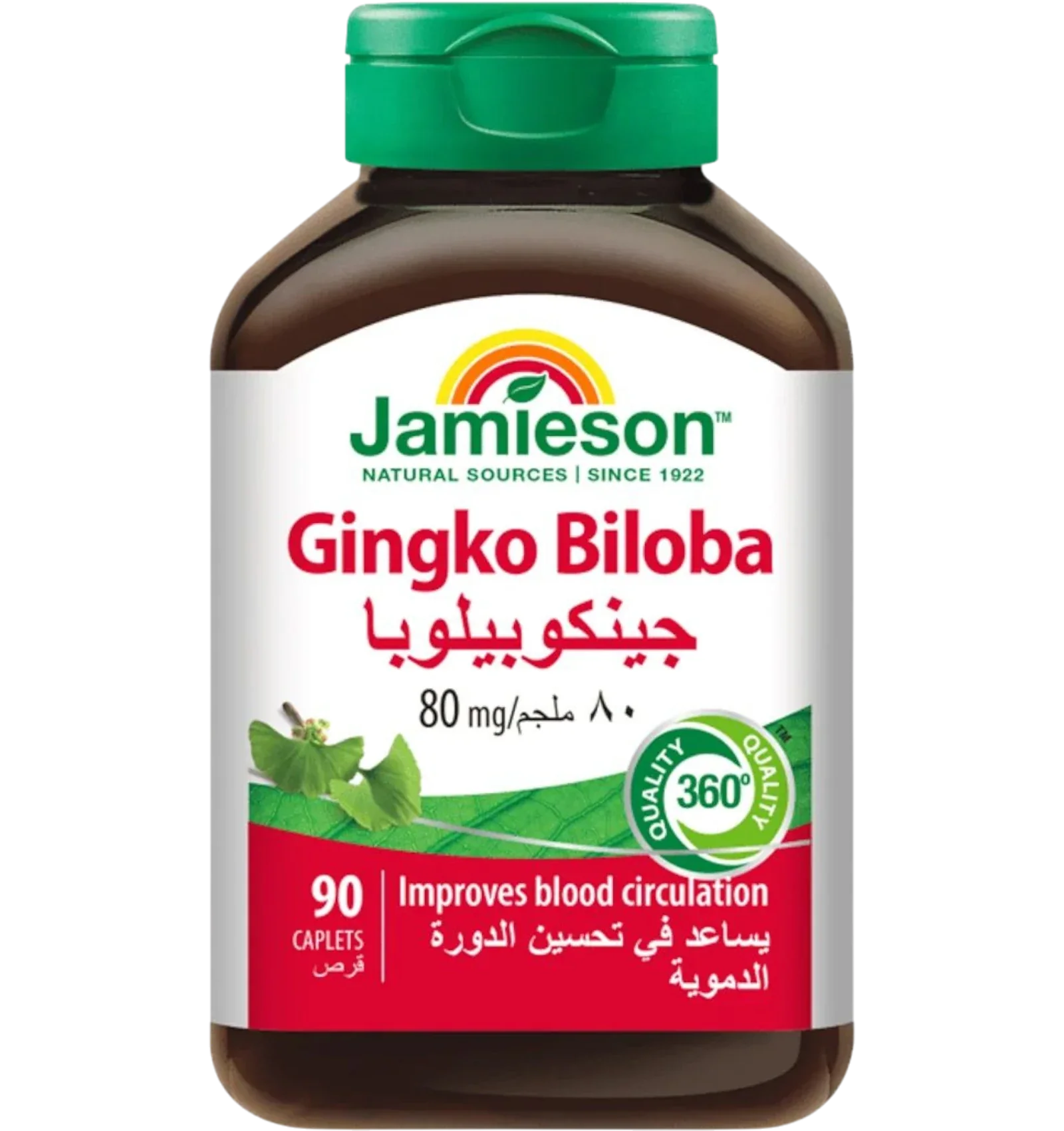 جاميسون جينكو بيلوبا لدعم الدورة الدموية 80 ملغ 90 قرص
