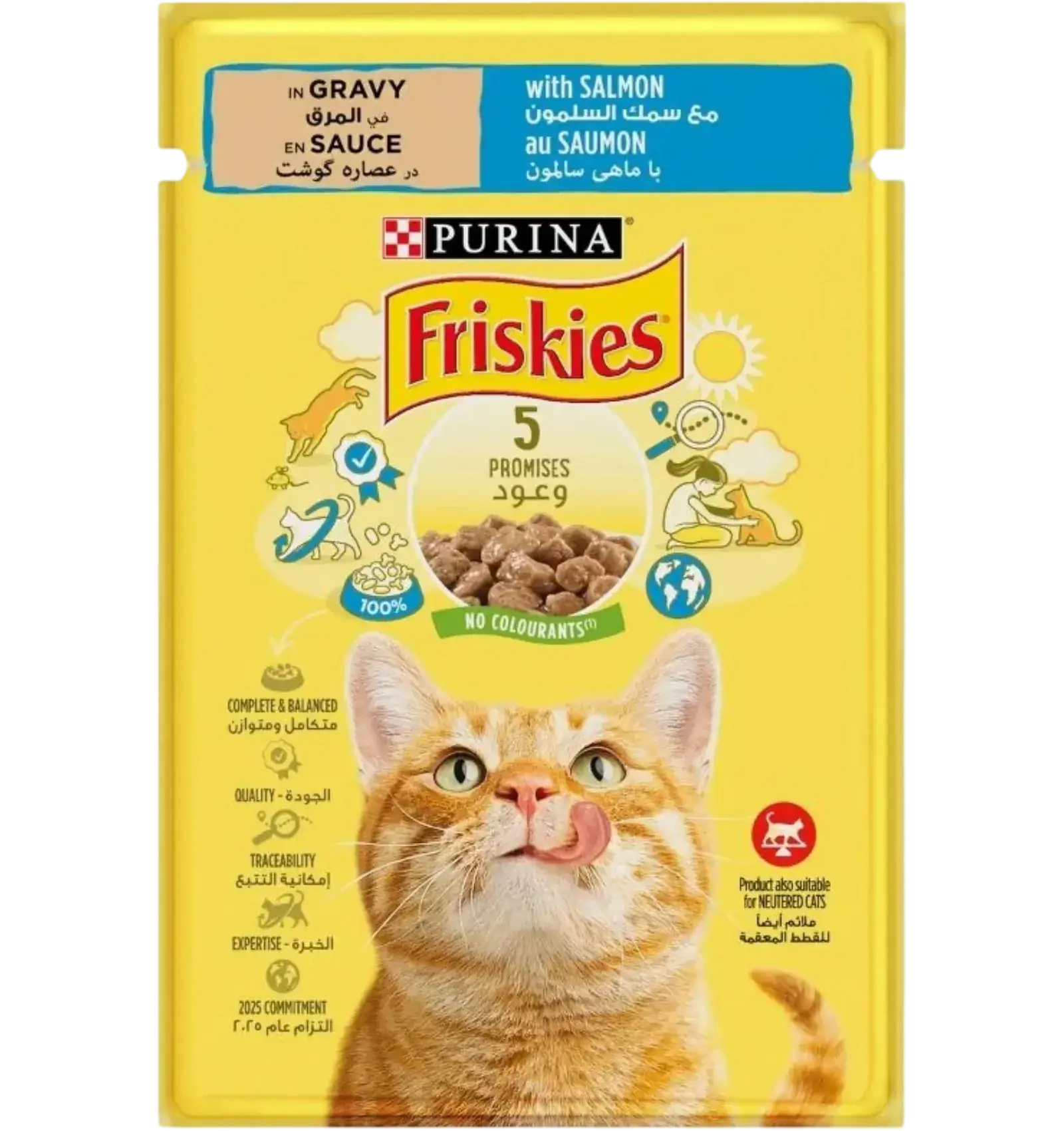 Friskies wet cat food pouch salmon in gravy flavor 85g