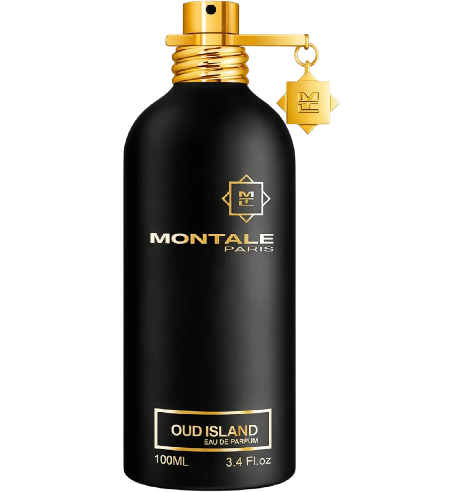 Montale Paris Oud Island Eau de Parfum 100ml Unisex Black Bottle