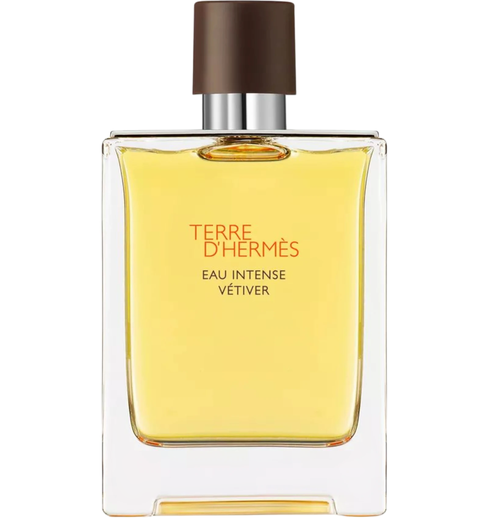 عطر تيري دي ايرميس او انتنس فيتيفر من هيرميس رجالي 100 مل