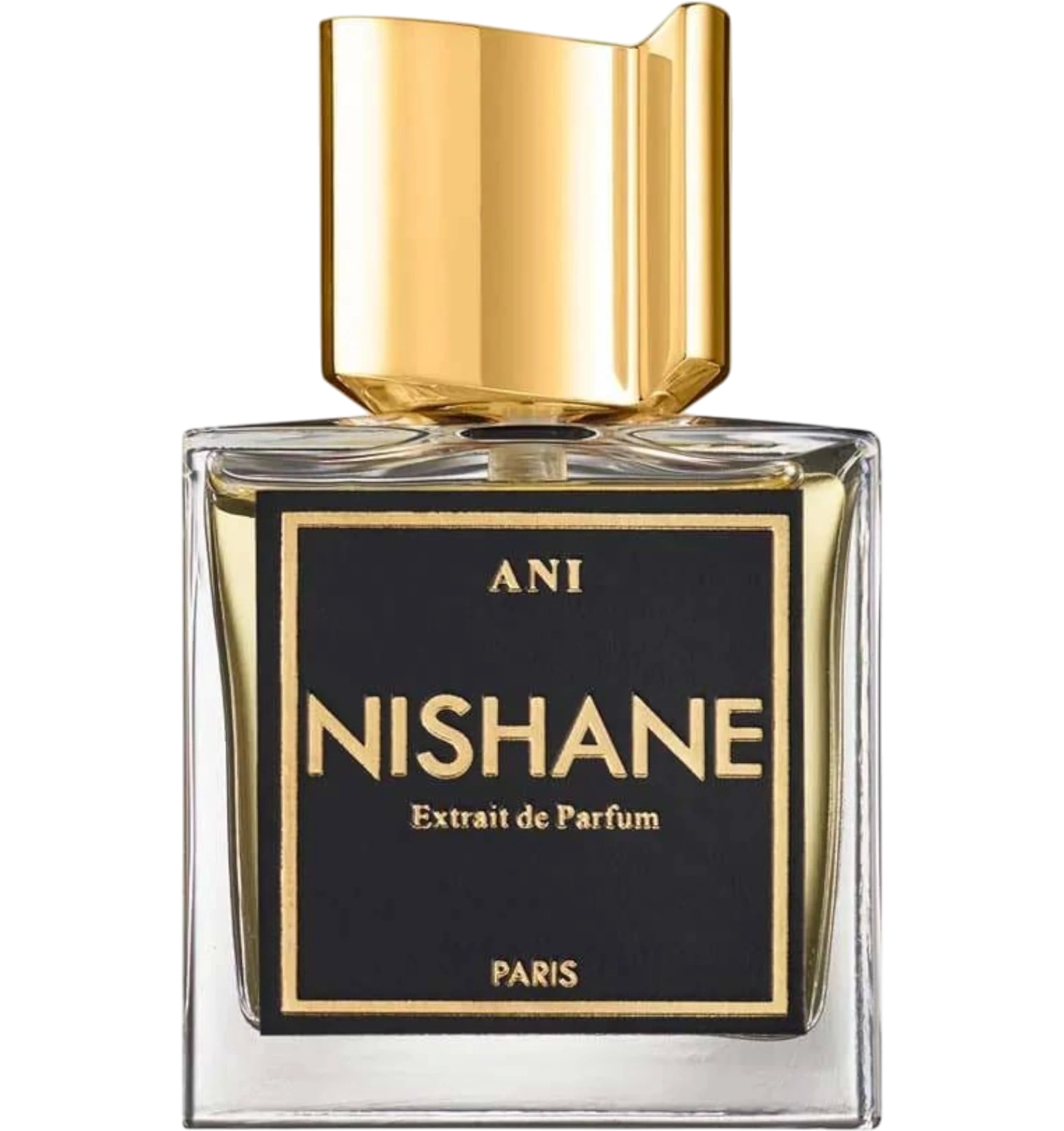 عطر نيشاني اني يونيسكس اكسترايت دي بارفيوم 3.4 اونصة بزجاجة ذهبية وسوداء